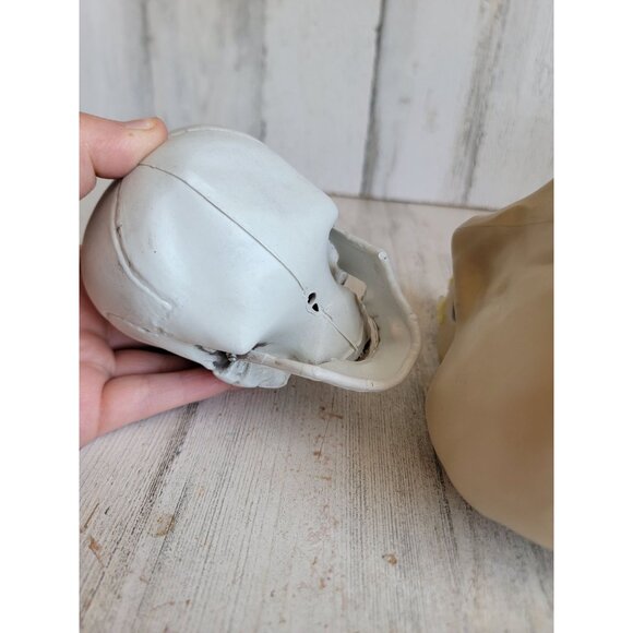 Halloween AS IS skull prop home decor figure scary‎ - Picture 11 of 11